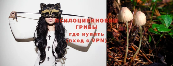 тгк Абдулино