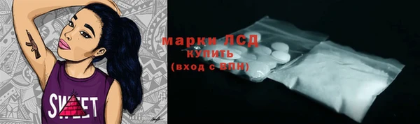 прущие грибы Кодинск