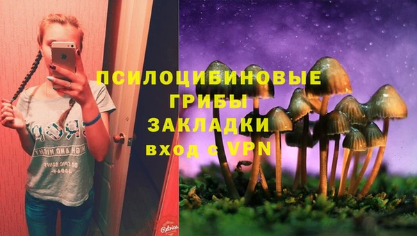 прущие крисы Абаза