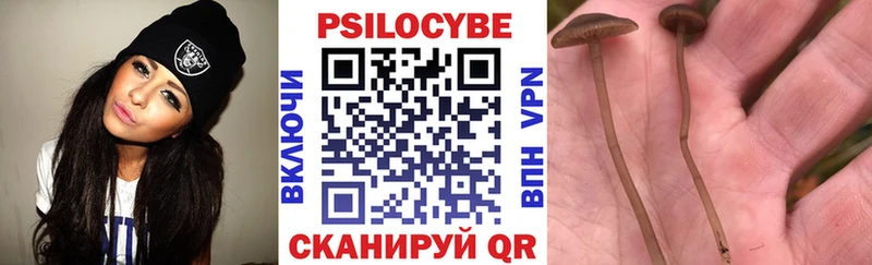 Псилоцибиновые грибы Magic Shrooms  продажа наркотиков  Дмитровск 