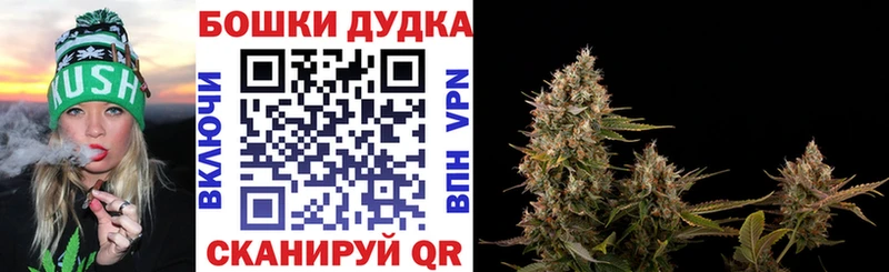 Каннабис White Widow  Дмитровск 